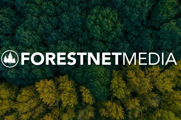 1.9M Views in 6 Months For Forestry Media Company