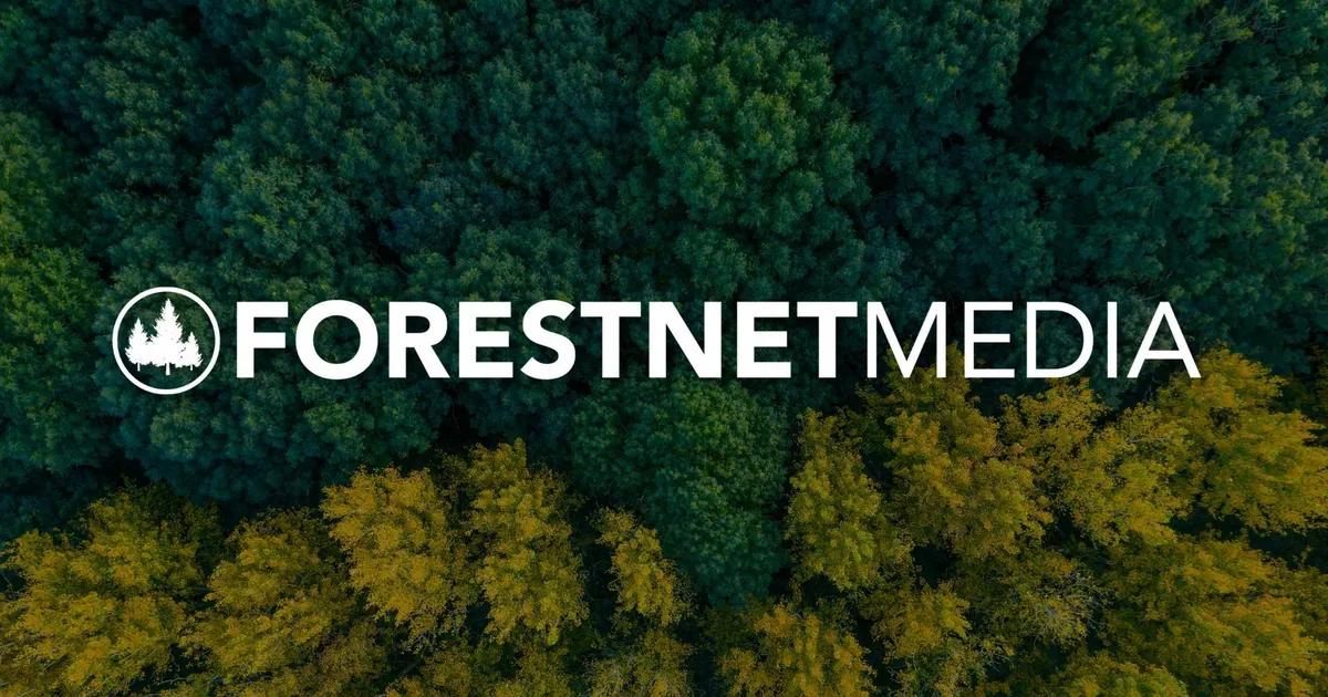 1.9M Views in 6 Months For Forestry Media Company