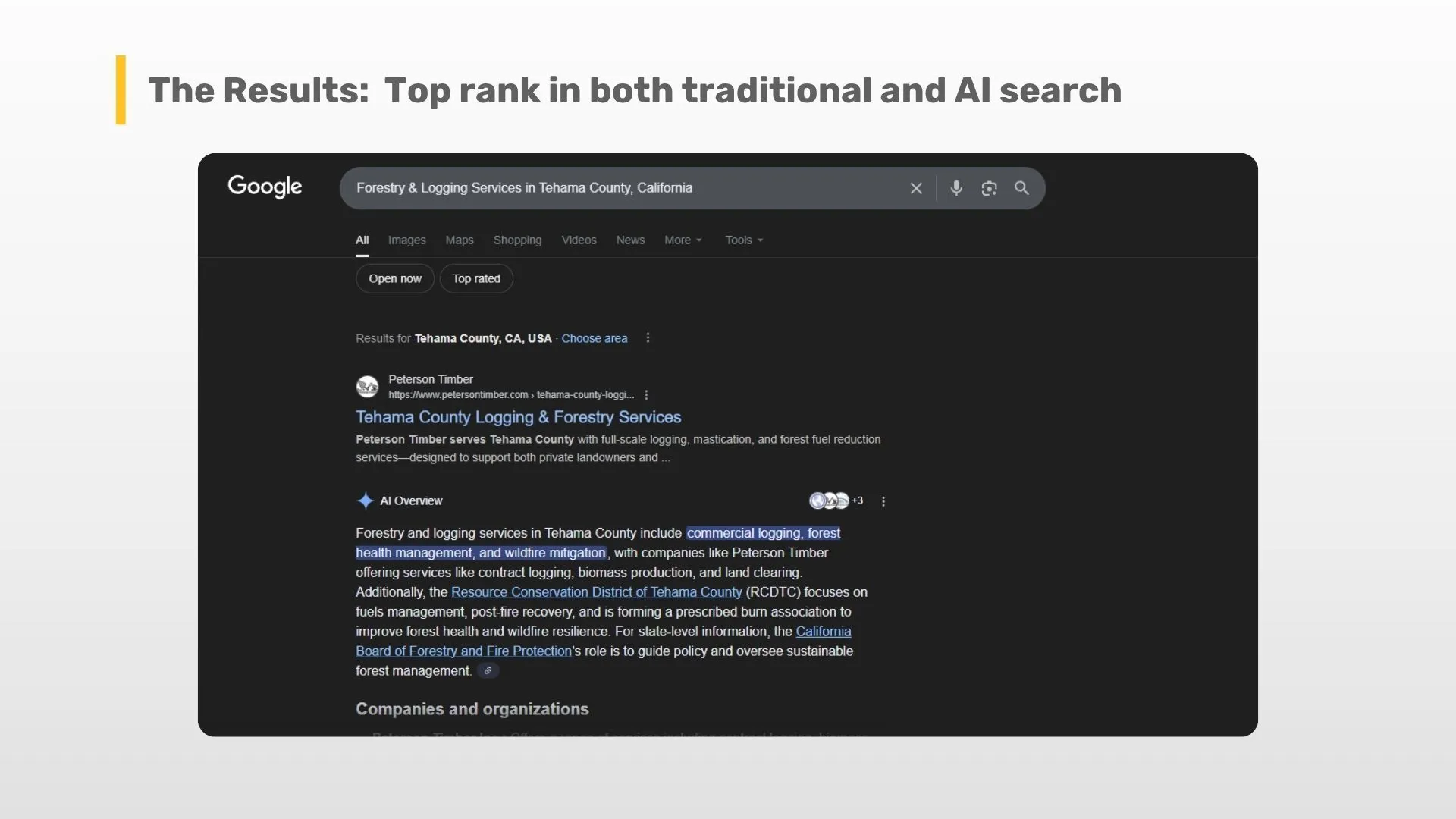 Google search results for 